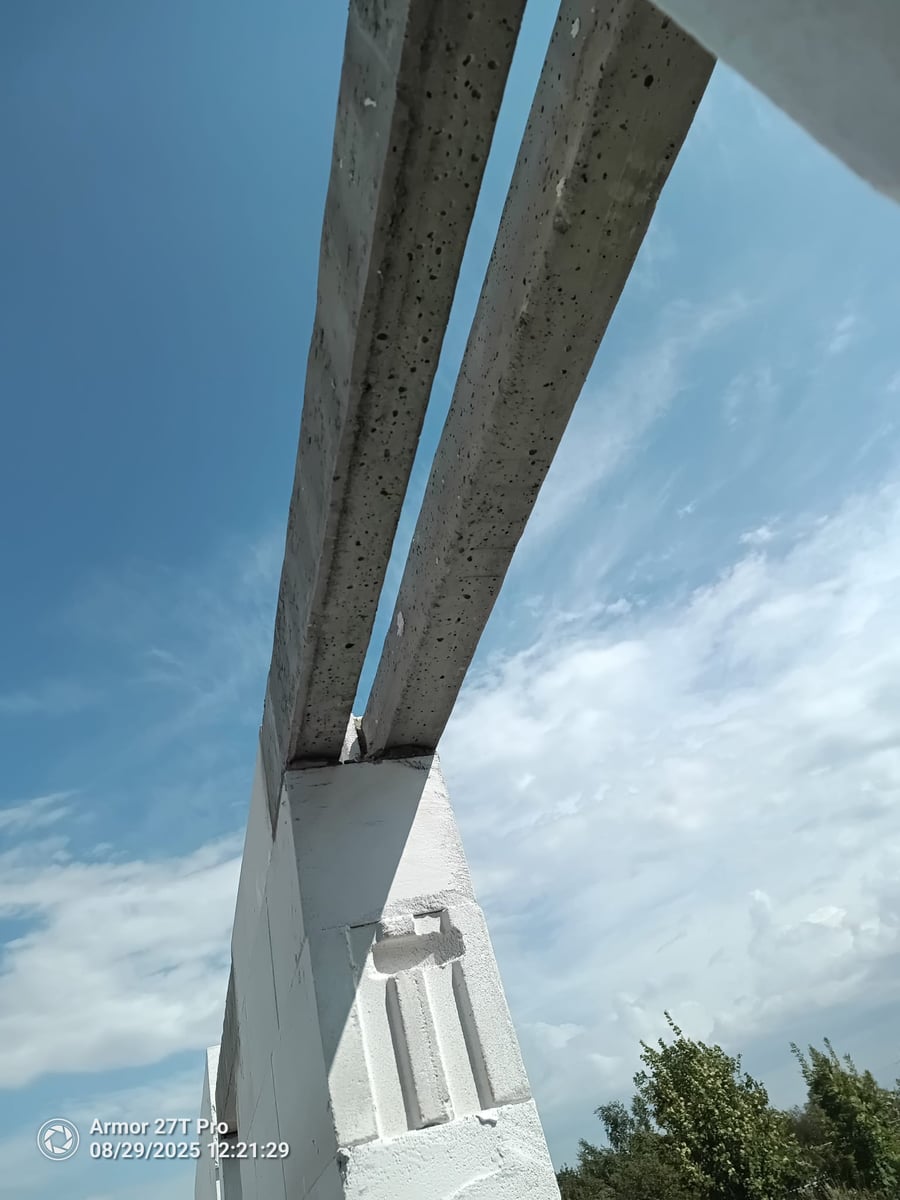 Wieńce nad murami — perspektywa oddolna, Olza
